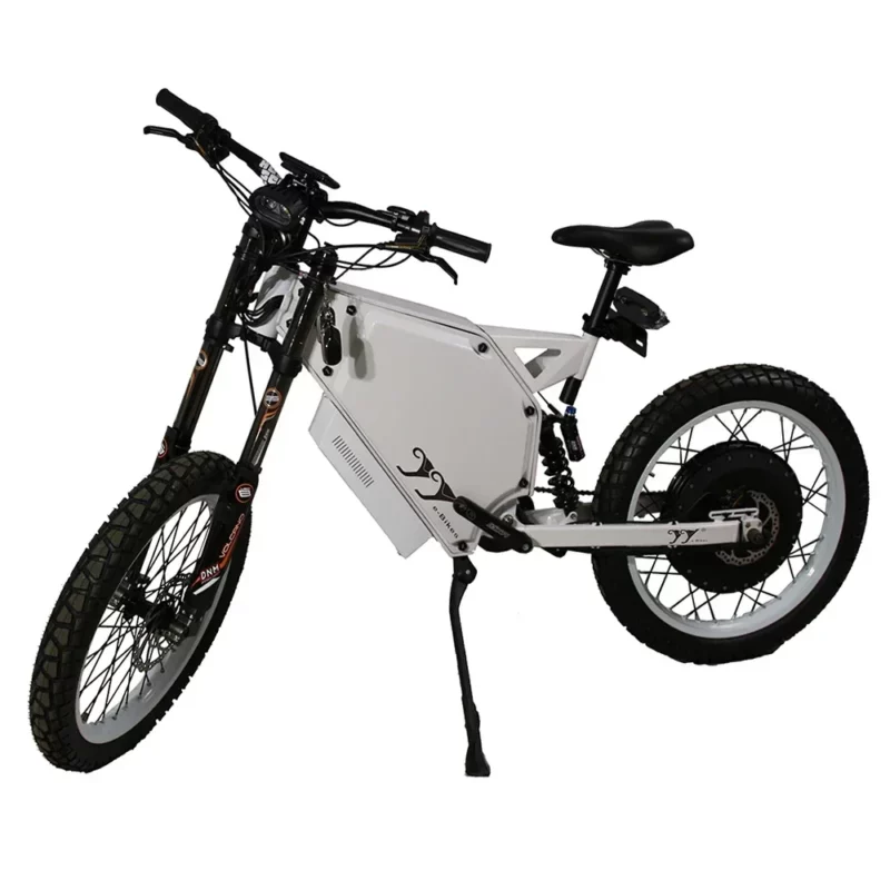 2023  Vélo électrique léger et performant