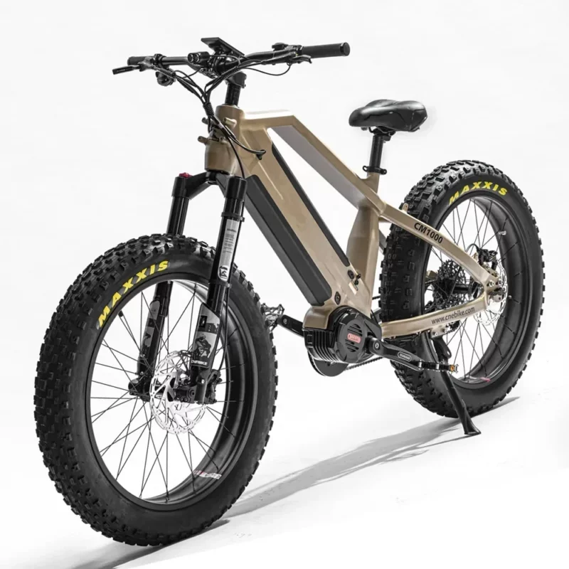 Vélo puissant homme Batteries Lithium