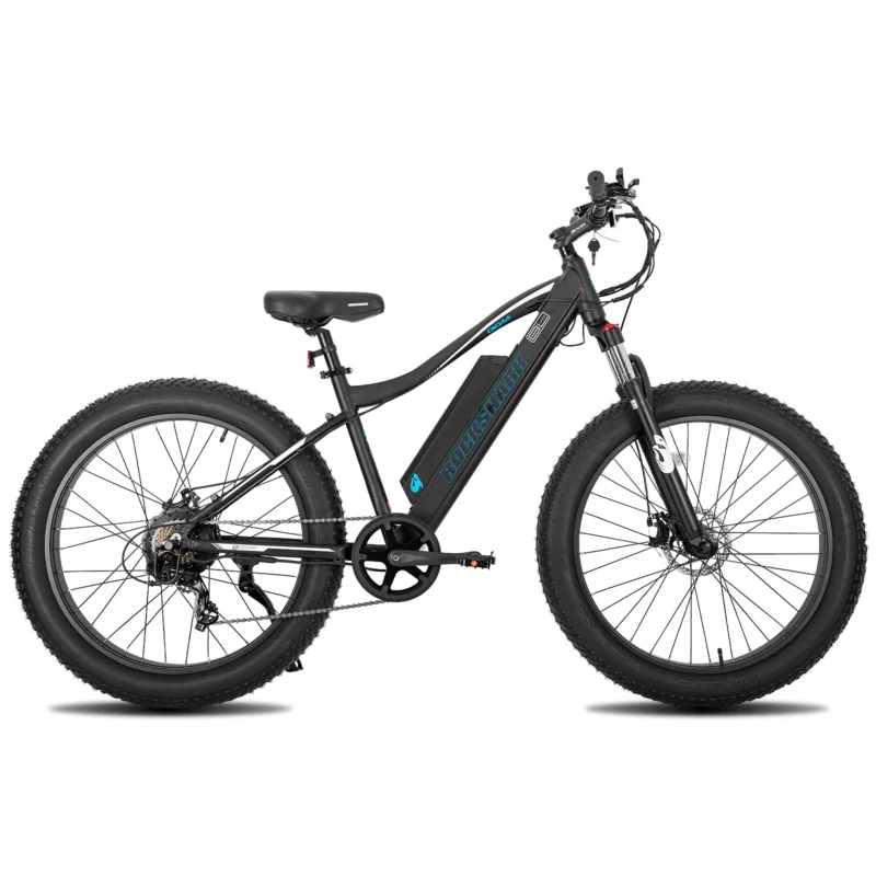 Vélo Electrique léger idéal  pour ville